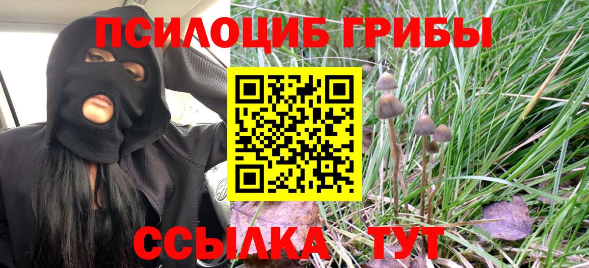 Ленинск-Кузнецкий  Галлюциногенные грибы GOLDEN TEACHER  как найти наркотики  Вход с VPN 