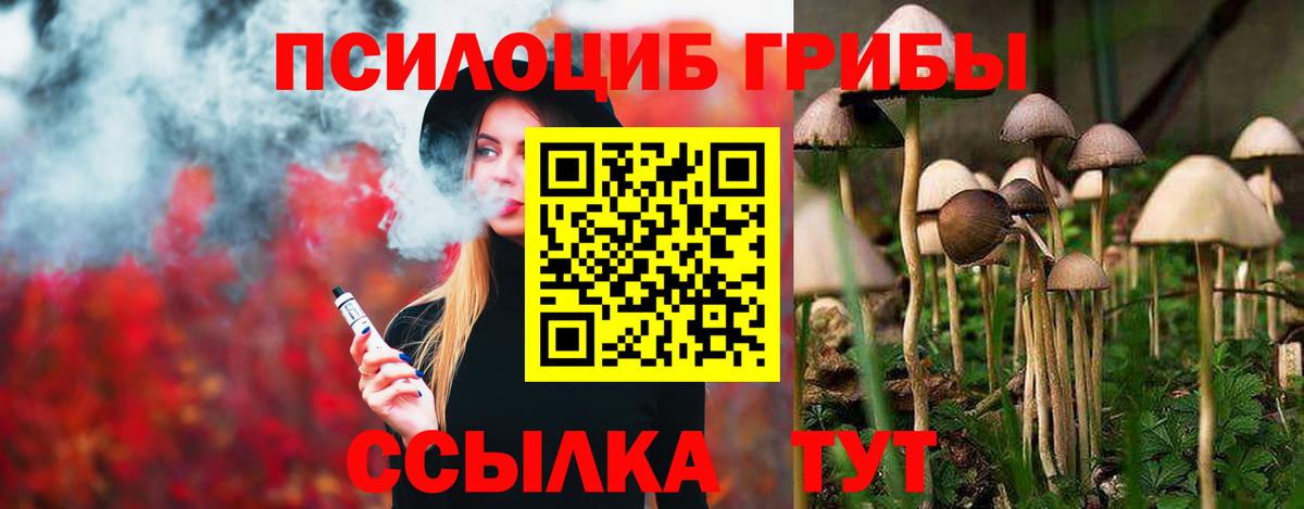 Галлюциногенные грибы Magic Shrooms Ленинск-Кузнецкий